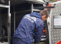 Испуганная собака упала в фонтан и кидалась на своих спасителей в Ставропольском крае