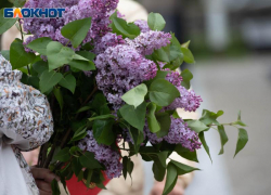 Леденящий ветер и жара до +26 обещаны Ставрополью в субботу 