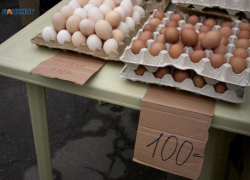 Власти Ставрополья и прокуратура запланировали совместный рейд по ценам на яйца 