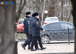 Хозяина напавшей собаки на мужчину в Ставрополе ищет полиция