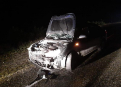 В Грачевском округе на трассе под колесами легковушки погиб пешеход