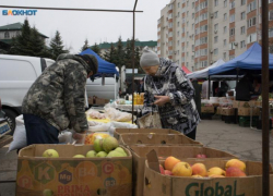 Дешевели огурцы и дорожала свекла на прошлой неделе на Ставрополье