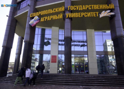 Сорванные уроки и пары: кто 21 и 22 февраля будет отдыхать на Ставрополье