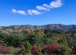 Курорты Кавказских Минеральных Вод попали в список лидеров по чистоте воздуха