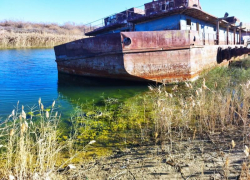 На Ставрополье возбудили уголовное дело из-за загрязнения Чограйского водохранилища