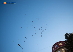 Аномальная жара до +40 градусов снова испытает жителей Ставропольского края 