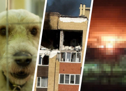 Собаки-убийцы на улицах, газовый кошмар в высотке и БПЛА над городами: что потрясло Ставрополье в 2025 году