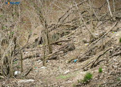 Землетрясение магнитудой 3,4 почувствовали жители Ессентуков 24 сентября