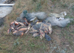 В Изобильнеском районе арестовали рыбаков 