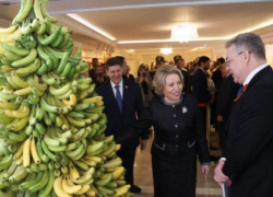 Банановый оазис, новый бассейн и высокие коммунальные платежи : что обещали ставропольцам чиновники к 2026-му году