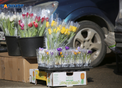 В 1,2 раза подорожали монобукеты в Ставрополе в преддверии Международного женского дня