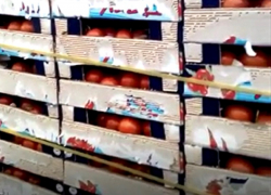 Две тонны «неопознанных» помидоров уничтожили на мусоросжигательном заводе в Пятигорске