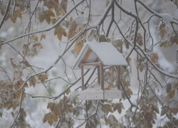 Снег продолжит атаковать Ставрополье вплоть до конца рабочей недели