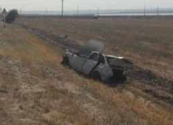 "Приора" "улетела" в кювет и перевернулась после столкновения с собакой на Ставрополье