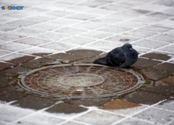 Дождь и падение температуры до +6 градусов днем обещают ставропольцам в первый день февраля