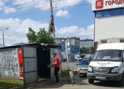 Рассадник вони и крыс в центре Юго-Западного района возмутил жительницу Ставрополя