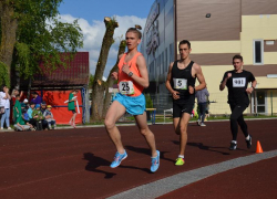 Ставропольские спортсмены собрали в уходящем году букет из почти 600 медалей 