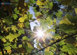 До 0 градусов опустится температура 20 ноября на Ставрополье