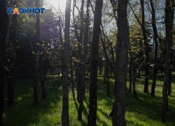 С жары до +30 градусов и сильных дождей начнется новая неделя на Ставрополье