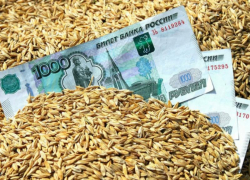 Правительство России даст Ставрополью 200 миллионов рублей на агрострахование