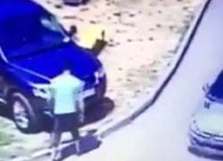 Таинственный живодер ездит по городам КМВ и зверски истребляет собак с помощью «летающих шприцев» 