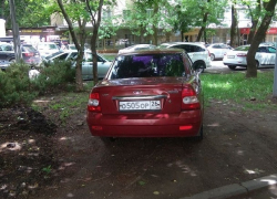 «Превращают город в скотный двор!»: автохам бросил «Приору» на газоне в центре Ставрополя 