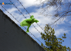 Регоператор потратит более 100 миллионов рублей на борьбу с мусорными должниками в Пятигорске