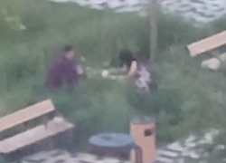 Неизвестные оборвали цветы в сквере Героев России в Ставрополе и попали на видео 