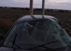 В Георгиевском районе перевернулся автомобиль: один погиб, трое госпитализированы