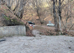 Территорию Таманского леса благоустроят в Ставрополе