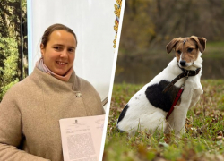 Приют «Лучший друг» может выпустить 200 собак из-за требования властей снести забор в Ставрополе