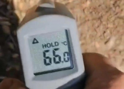 Почва в округе Ставрополья прогрелась до аномальных 66 градусов 