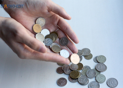 Не мелочитесь: ставропольские семьи не оценили инициативу президента по-новому назначать детские пособия