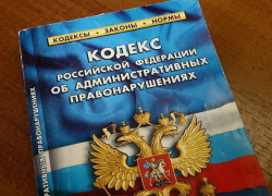  В Ставрополе приостановлена деятельность одной из букмекерских контор