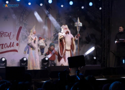 Выделено 1,7 миллиона: поездка делегации Ставропольского края на кремлевскую елку получила финансирование