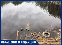 Вместо рыб и черепах — мусор и грязь: жители Михайловска требуют остановить уничтожение пруда Калдыбашки