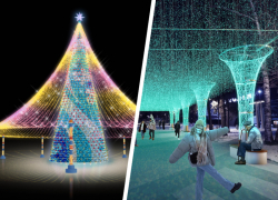 Огоньки любой ценой: после жалоб на новогодний декор ставропольские власти переиграли тендеры на 170 миллионов  