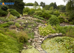 Опять +35: какой будет погода на Ставрополье в воскресенье 17 августа