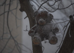 Первый снег надвигается на Ставрополье с ветром и гололедом в начале новой недели