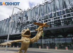 Цены на авиабилеты из Минеральных Вод подорожают к Новому году: стоимость перелетов на 1 и 12 января