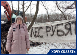 Жители Ставрополя обратились к правоохранителям из-за вырубки урочища «Мутнянка» 