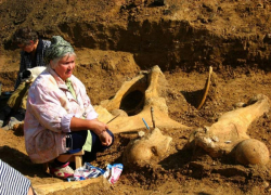 Ставропольской «матери слонов» исполняется 85 лет