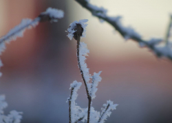 Погодные качели предрекли ставропольцам 16 февраля 
