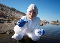  Ставропольцы могут  помочь очистить берег от мазута после экологической катастрофы