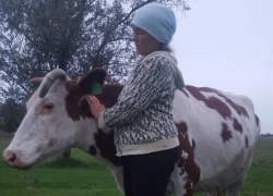 «Выхожу из суда и реву как корова»: ставропольские крестьяне планируют голодовку в Москве