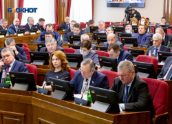 Добровольцев, полицейских и Росгвардию приравняли к военным на заседании думы Ставрополья