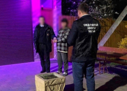 Жителя Ставрополья подозревают в растлении двух 10-летних девочек