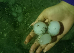 Несколько человек попали в больницу после сильного града на Ставрополье