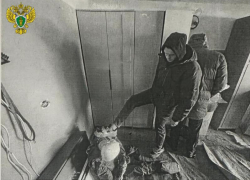 Связали скотчем, избивали и требовали миллион: троих похитителей будут судить в Ессентуках