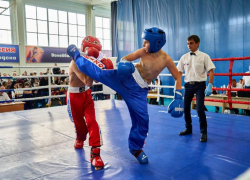 Ставропольские единоборцы привезли золото с Черноморского побережья и из северной столицы